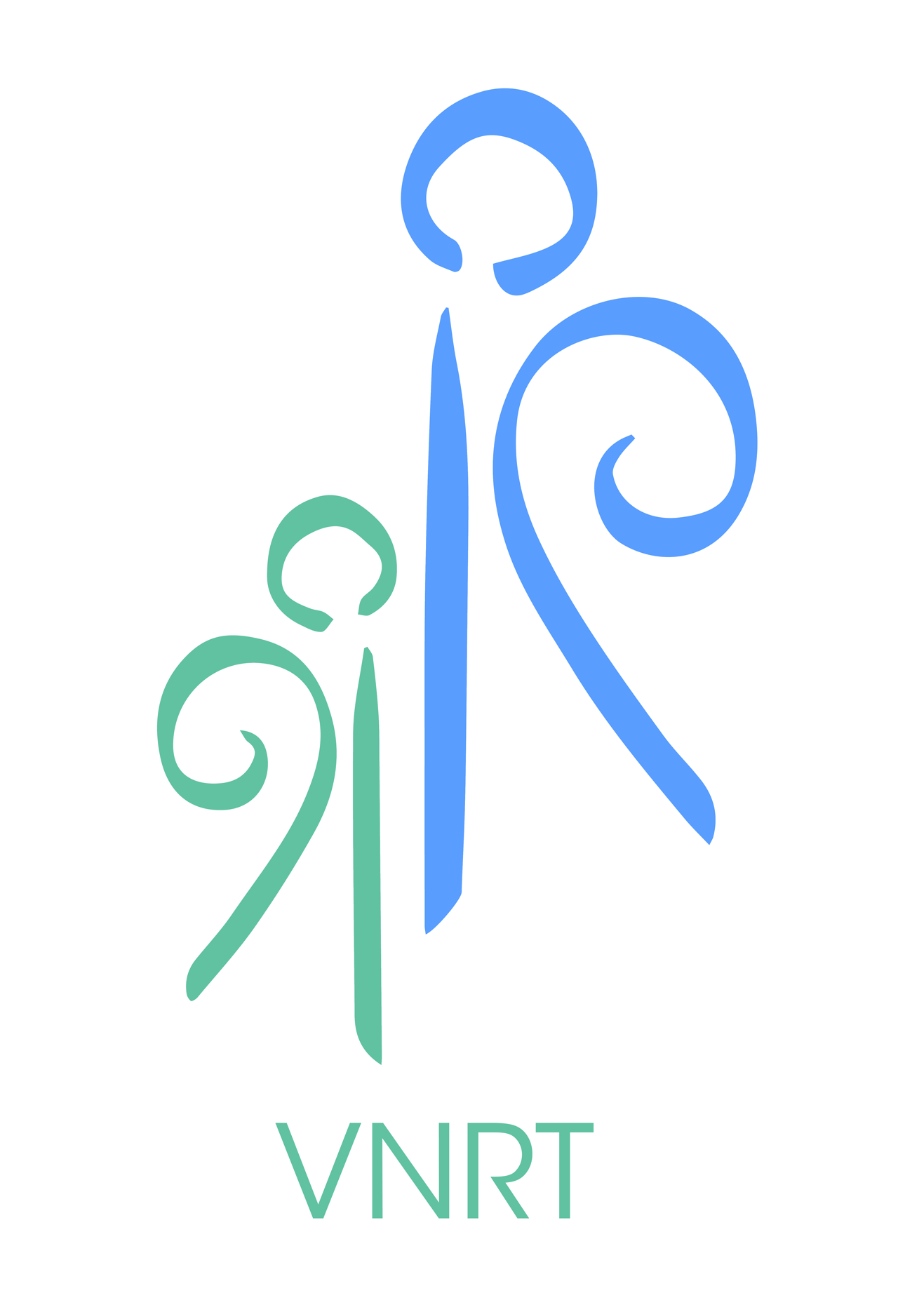logo vnrt